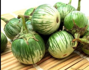 Thai eggplant 50 seeds