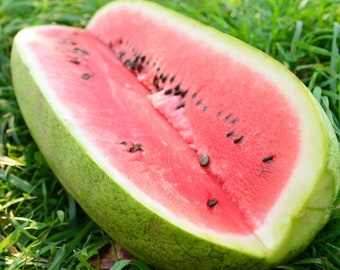 Charleston Gray Watermelon 25 seeds