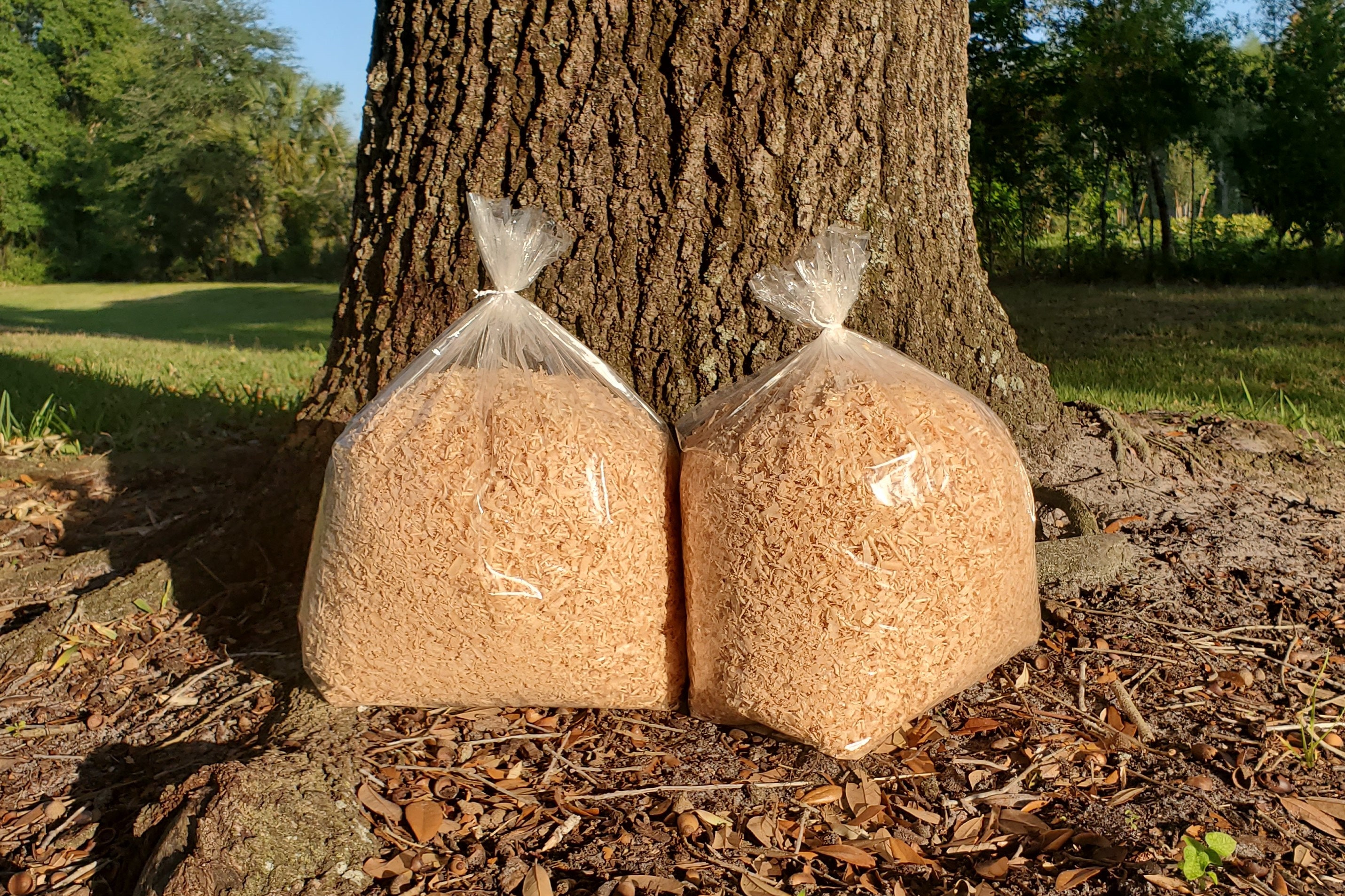 2 lbs of Pine Wood Shavings Etsy