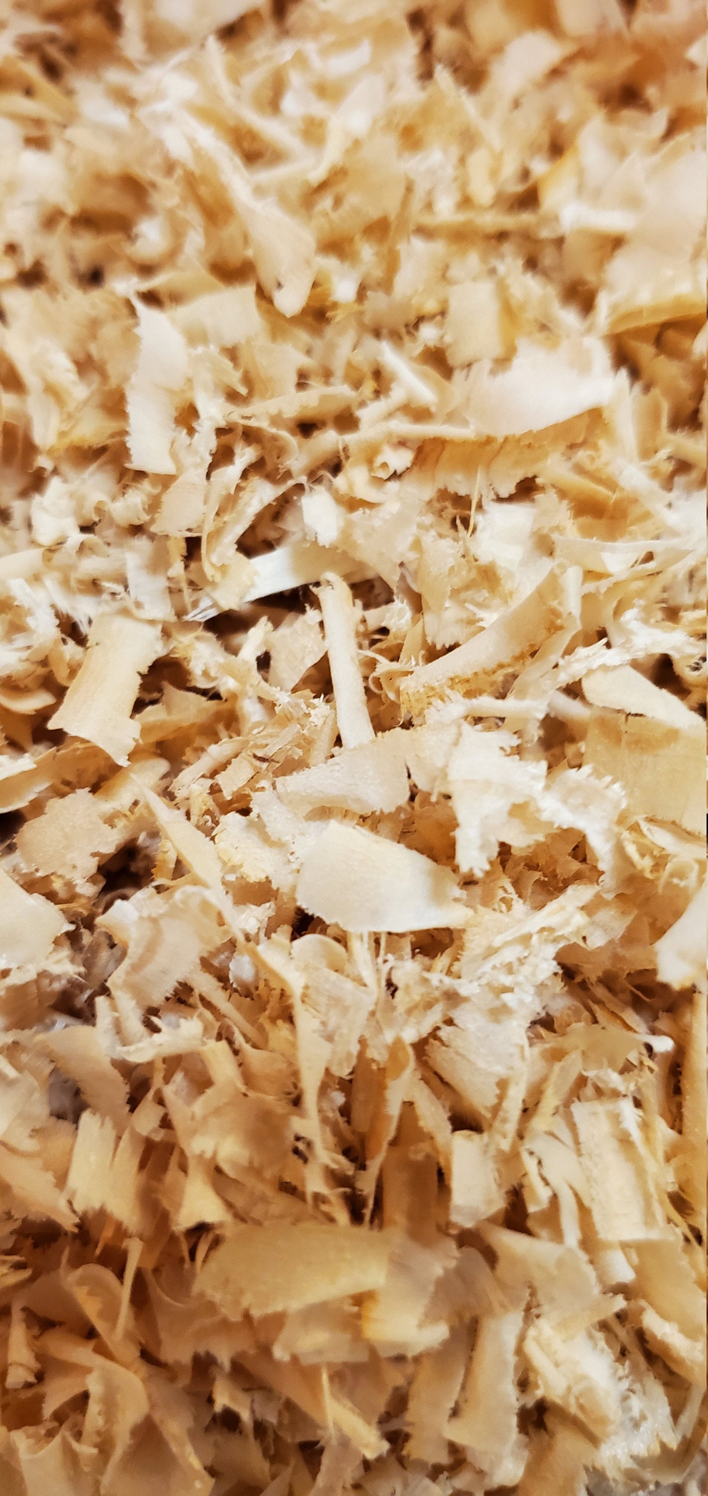 2 lbs of Pine Wood Shavings Etsy