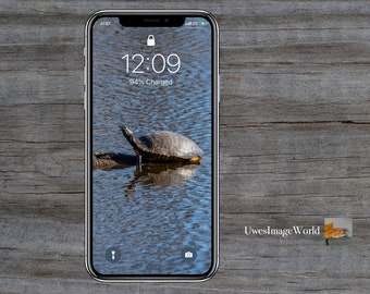 Turtle Iphone Decal: Sử dụng Decal rùa để đem đến cho chiếc iPhone của bạn một cái nhìn mới lạ và thú vị. Decal được thiết kế với hình ảnh rùa cực kỳ dễ thương và mang lại sự khác biệt đáng kể cho thiết bị của bạn. Bạn sẽ không phải lo lắng về sự trầy xước hay hư hỏng vì Decal được sản xuất từ chất liệu bảo vệ cao cấp.