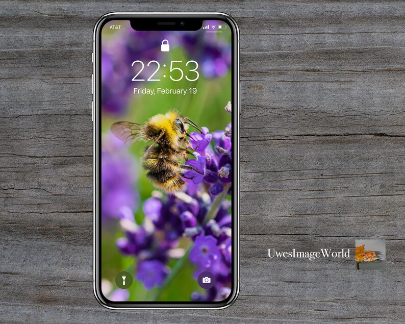 Bundle of Bees | Nature Cell Phone Wallpapers | iPhone Wallpaper ...