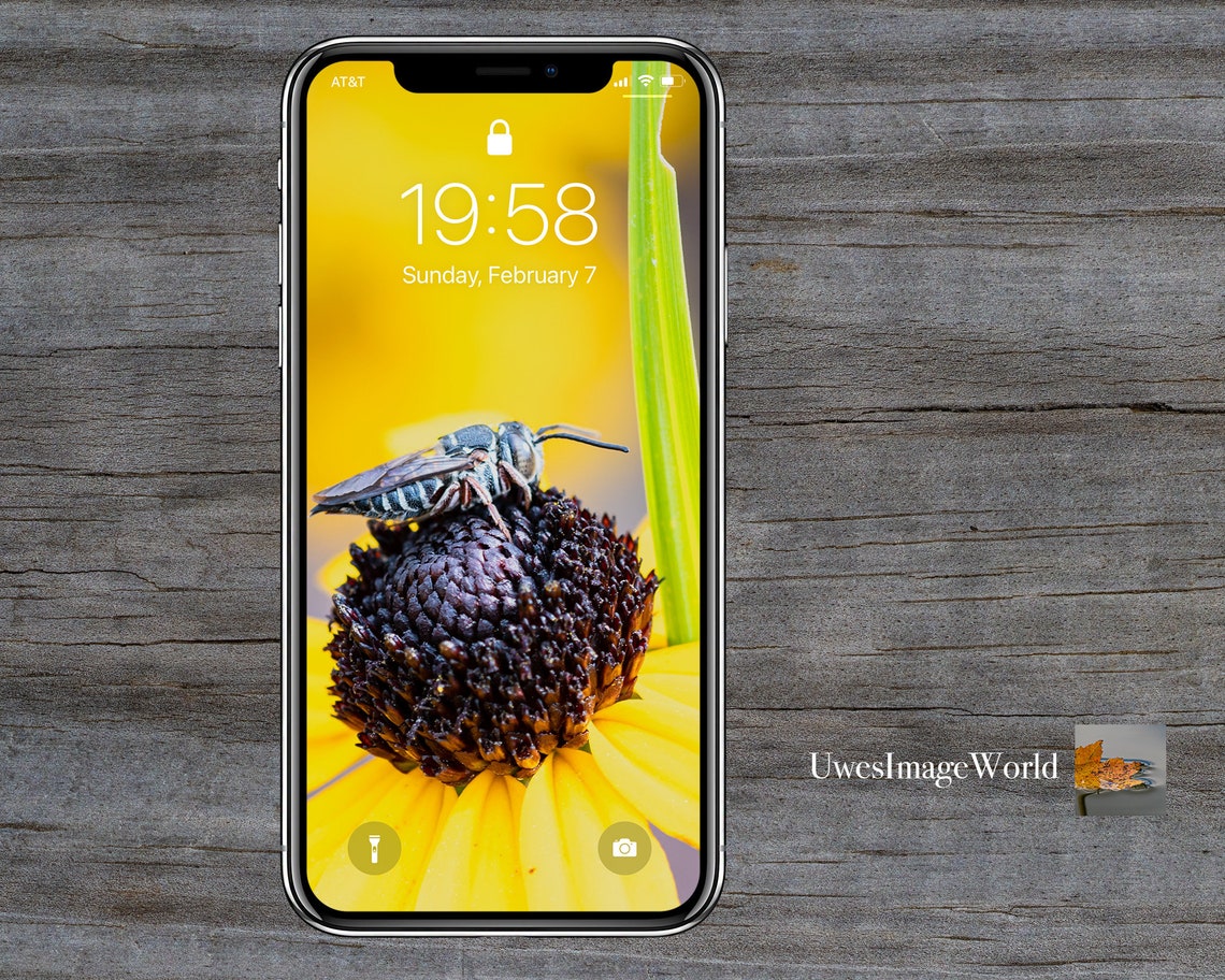 Bundle of Bees Nature Cell Phone Wallpapers iPhone Wallpaper Android ...