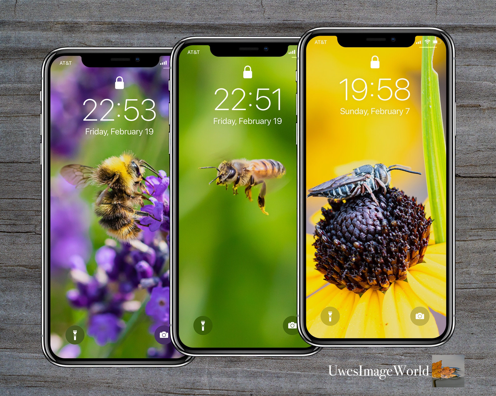 Bundle of Bees | Nature Cell Phone Wallpapers | iPhone Wallpaper ...