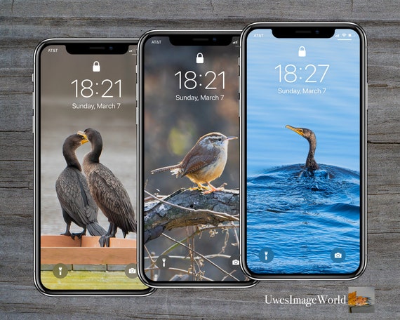 Buy Bird Bundle 3 Nature Photo Cell Phone Wallpapers Iphone Online in India - Etsy Buy Bird Bundle 3 Nature Photo Cell Phone Wallpapers Iphone Online in India - Etsy