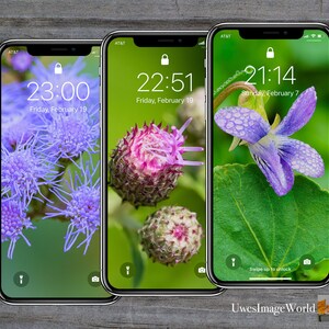 May include: Three iPhone lock screens with different nature-themed backgrounds. The first screen shows a close-up of purple flowers with a green background. The second screen shows a close-up of pink and green flowers with a green background. The third screen shows a purple flower with water droplets on the petals and a green leaf background.