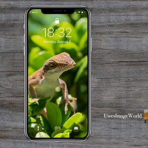 May include: A close-up of an iPhone screen displaying the time 18:32 and the date Monday, August 2. The background image is a green lizard on a leafy plant.