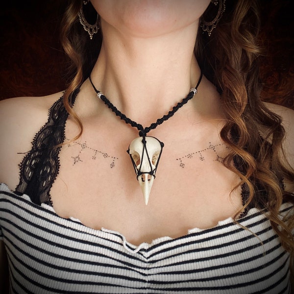 Real jackdaw skull macrame necklace