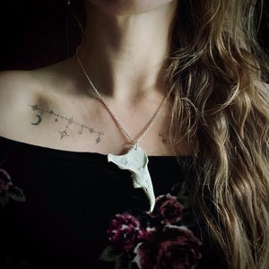 Real bone rabbit jaw necklace