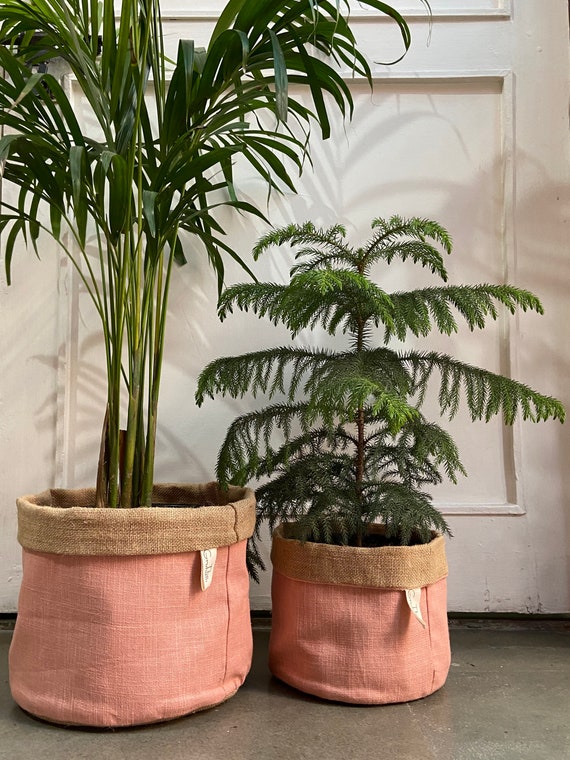 Indoor Plant Bag