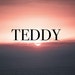 Teddy Hats