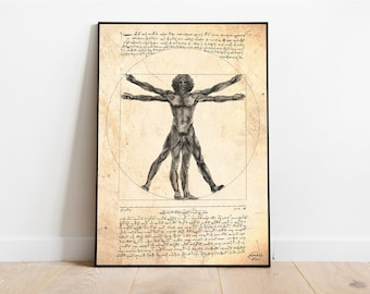 Vitruvian Man Leonardo da Vinci