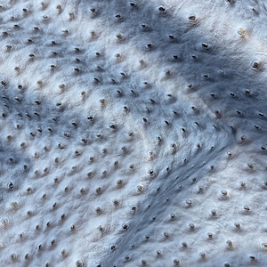 Puede incluir: Primer plano de un material de cuero texturizado gris claro con un patr&oacute;n de peque&ntilde;as protuberancias espaciadas uniformemente. El cuero tiene un brillo sutil y un color ligeramente desigual, con &aacute;reas m&aacute;s oscuras que crean profundidad.