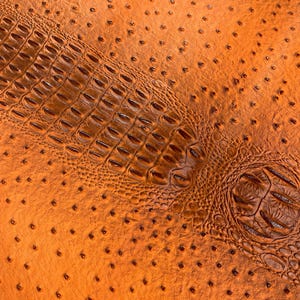 Orange Embossed Ostrich Gator Vinyl Fabric: Upholstery, Purses, Shoes - 54&quot; Wide
