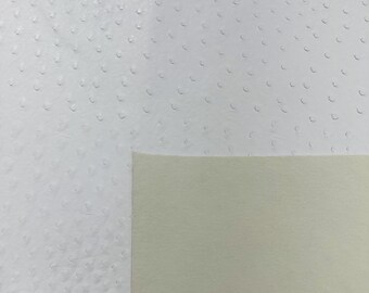 White Ostrich Faux Leather Upholstery By The Yard, Ostrich Embossed Vinyl Leather Upholstery, Purses Shoes Wallets 54" Wide