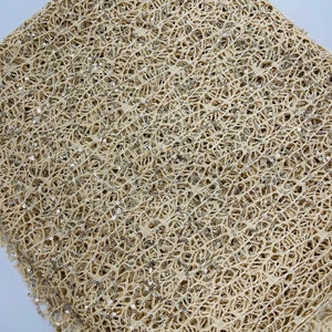Beige Fish Net Fabric, Cast Net Design Champagne Sequins Embroidery on ...