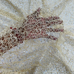 Beige Fish Net Fabric, Cast Net Design Champagne Sequins Embroidery on ...