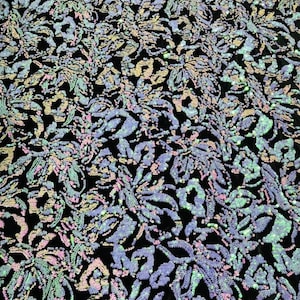 Iridescent Mint/Pink Sequins Flip Two Tone, Floral Design on Black Stretch Velvet By The Yard