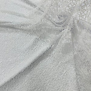 May include: White lace fabric with a delicate, textured pattern. The fabric is sheer and has a subtle sparkle.