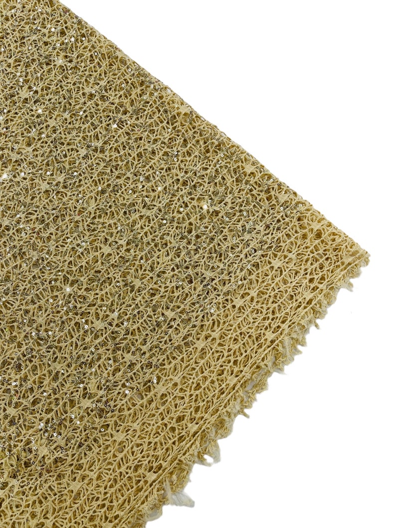 Beige Fish Net Fabric, Cast Net Design Champagne Sequins Embroidery on ...