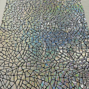 Velours argenté à sequins holographiques par mètre, extensible dans les 2 sens, 58/60 po. Sequins sur velours stretch noir (choisissez la quantité)