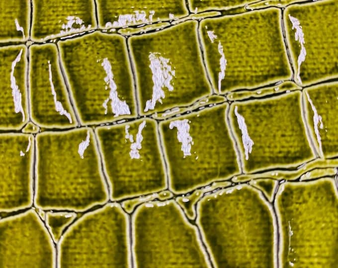 Olive Vinyl Faux Fake Leather Pleather Embossed Shiny Alligator Fabric Upholstery By Yard
