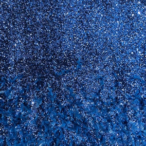 Navy Blue Sequin Velvet Fabric With Feathers on Navy Stretch Velvet | by the yard | all Over 5mm Sequins Velvet 2-way Stretch 58/60”