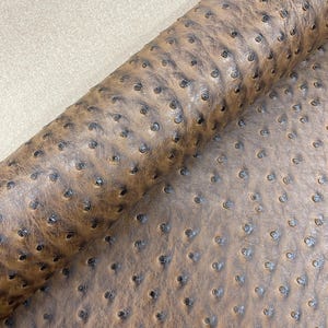 May include: Close-up of a rolled piece of brown leather with a textured, dimpled surface. The leather has a mottled appearance with darker spots, resembling ostrich skin. The material is likely used for crafting or upholstery.