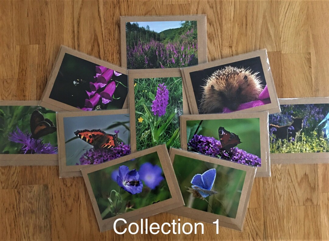 Packs of 10 Handmade Photo Greetings Cards Devon Landscapes Etsy.de