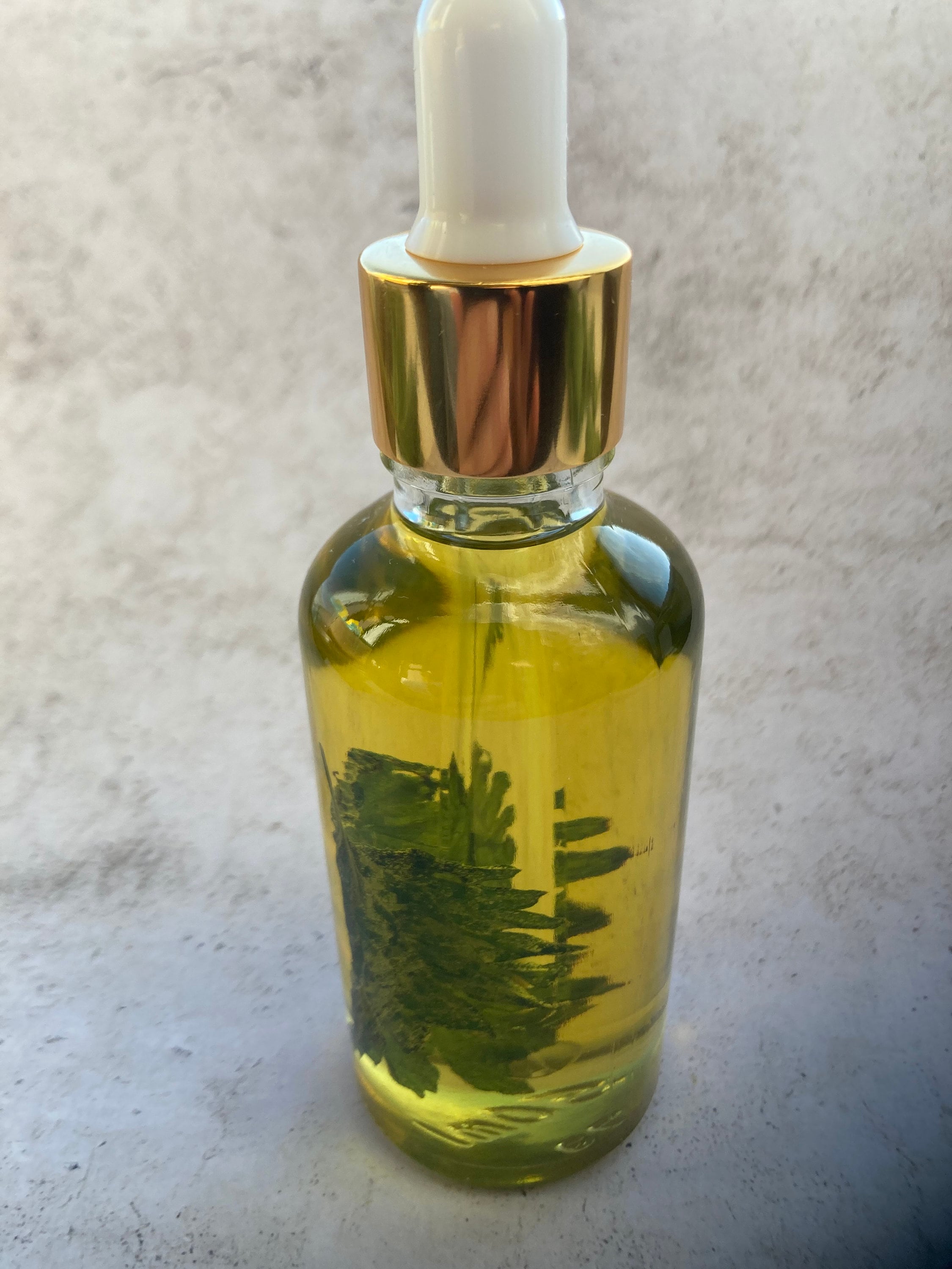 Stinging Nettle Oil for Glowing Skin and Hair/herbal Hair Etsy