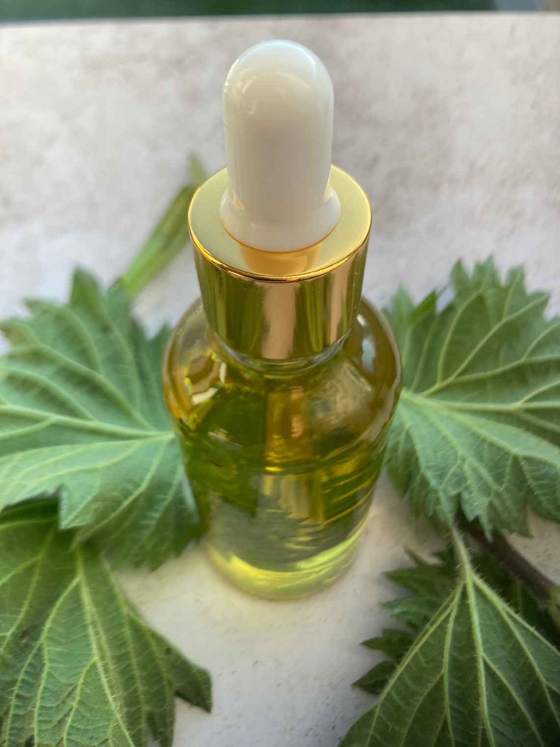Stinging Nettle Oil for Glowing Skin and Hair/herbal Hair Etsy