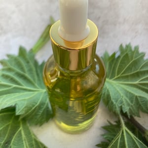 Stinging Nettle Oil For Glowing Skin And Hair/Herbal Hair Oil/Scalp Oil/unscented/all natural