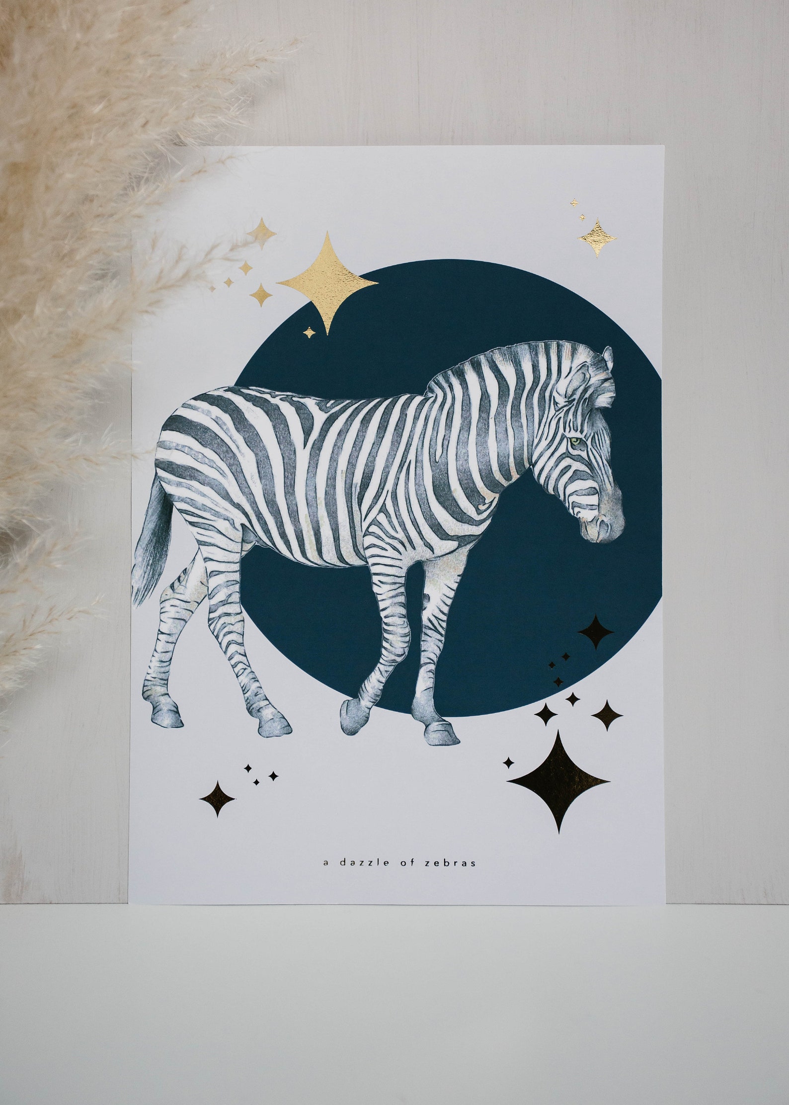 dazzle of zebras dazzle of zebras