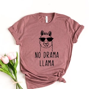 No Drama LLama Shirt, Drama Queen Shirt, Drama Girl Shirt, LLama Shirt, Funny Shirt, Don&#39;t Drama Please