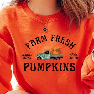 May include: Orange sweatshirt with the text "Farm Fresh" and a vintage truck carrying pumpkins. The text "Locally Grown" and "Hand Picked" are on either side of the truck. The text "Pumpkins" is below the truck.