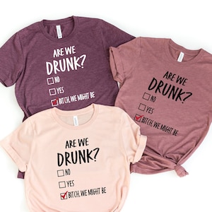 Are We Drunk Shirt, Drinking Shirt, Alcohol Lover Shirt, Funny Drunk Shirt, Drinking Party Shirt, Besties Shirt, Bitch We Might Be Shirt