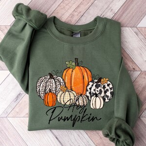 May include: Green sweatshirt with a graphic of pumpkins in various patterns, including leopard print, plaid, and solid orange. The text "Happy Pumpkin" is written below the pumpkins.