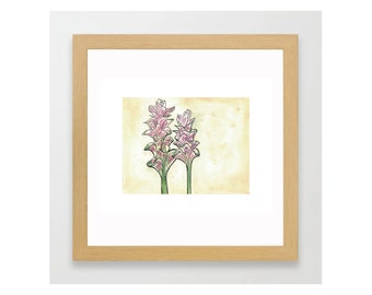 Jewel Of Thailand Flower - Original Watercolor Painting with Marker Art Details - Art Print