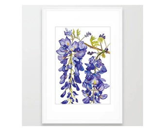 Wisteria Flowers - Original Watercolor Painting - Art Print - Floral