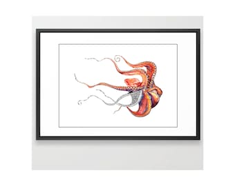 Octopus - Art Print- Watercolor Painting with Ink Details