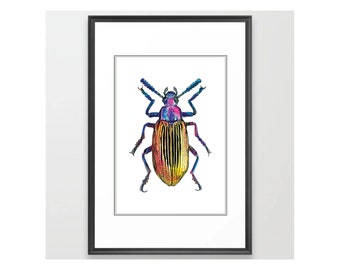 Beetle - Orange and Purple - Original Watercolor Painting with Marker Art Details - Art Print