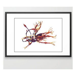 Seaweed Painting - &quot;Horse&quot; - Original Watercolor Painting - Art Print