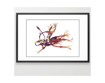 Seaweed Painting - "Horse" - Original Watercolor Painting - Art Print
