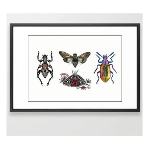 Group of Insects - Original Watercolor Painting with Marker Art Details -Art Print