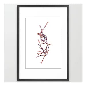 Thin Purple Seaweed - Original Watercolor Painting - Art Print
