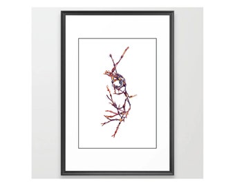 Thin Purple Seaweed - Original Watercolor Painting - Art Print