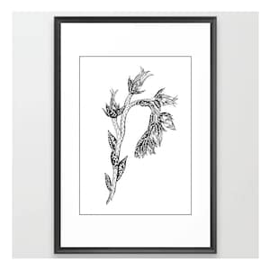 Thai Flower - Original Marker Pen Art - Art Print