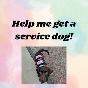 Service dog