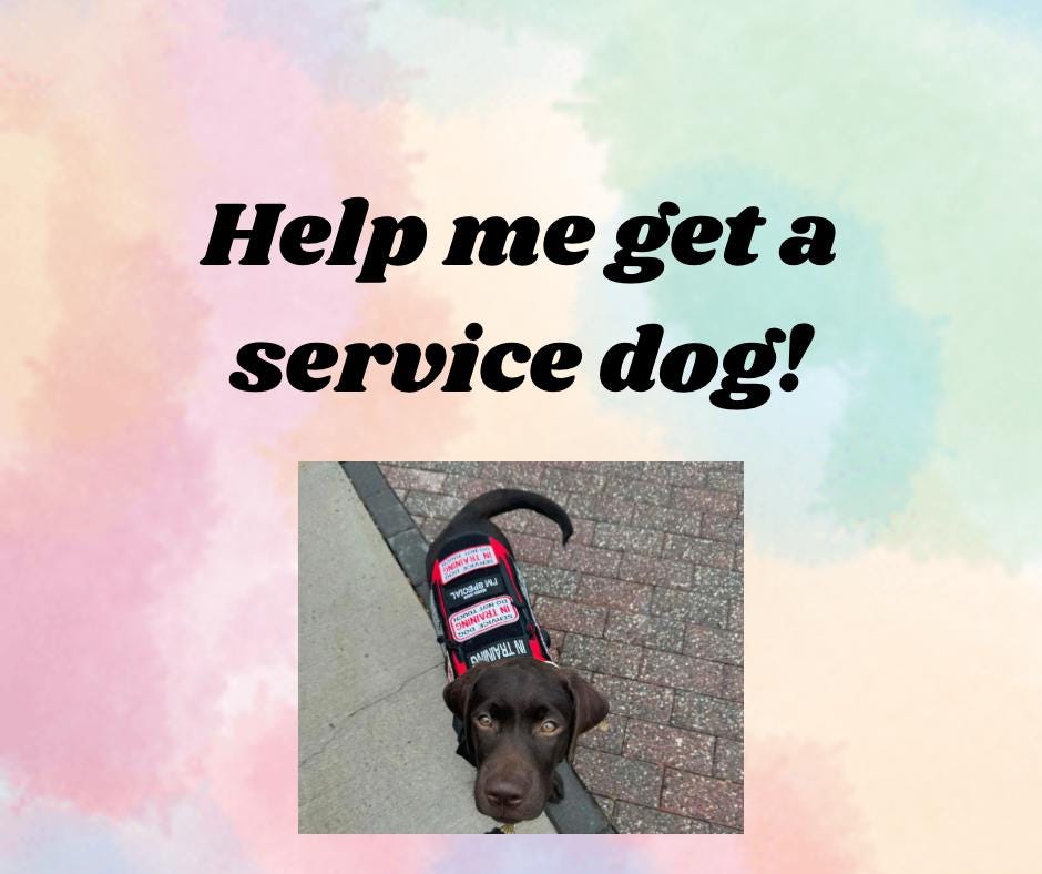 Stuffed Service Dog