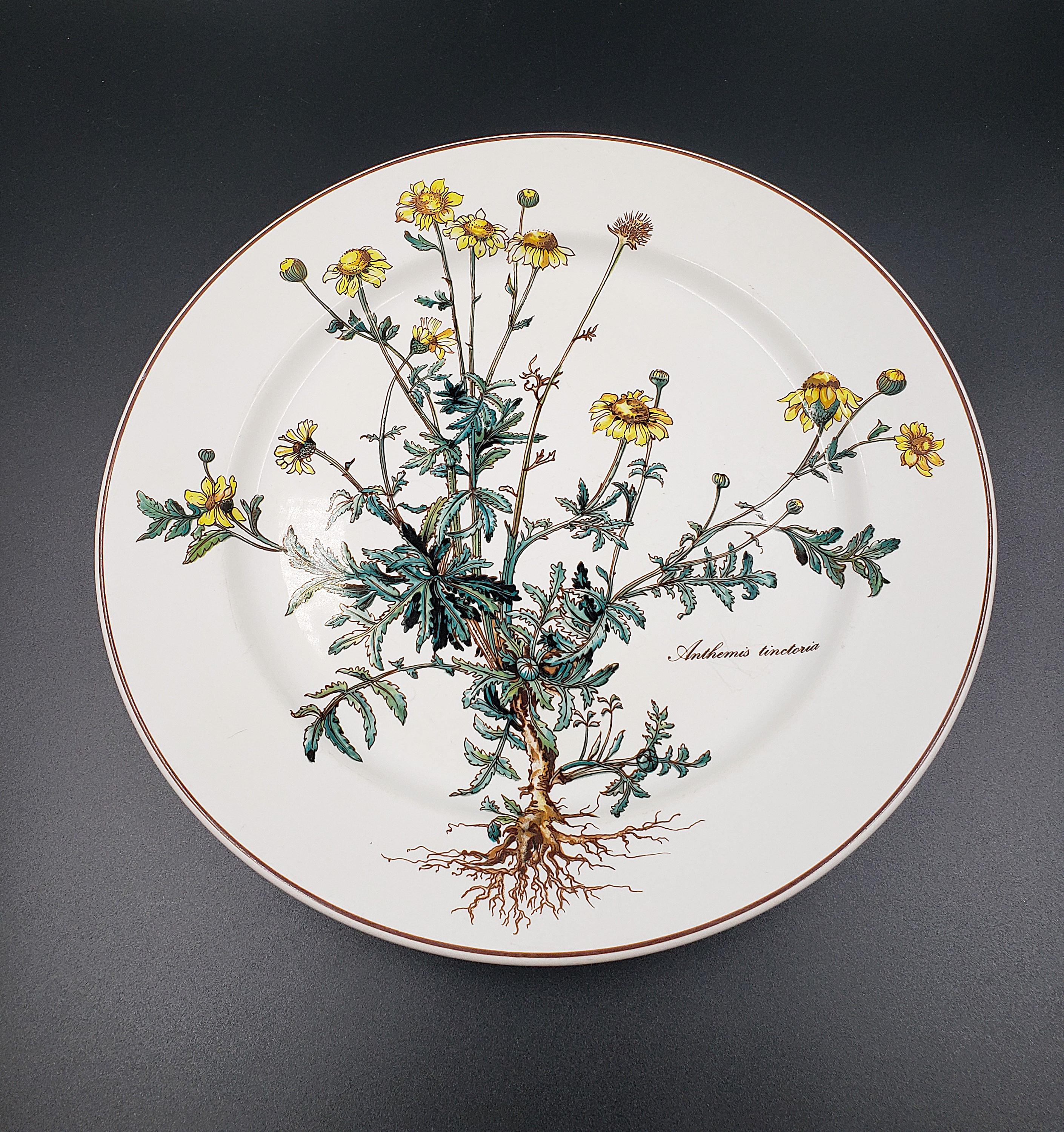 Villeroy boch botanica - Etsy 日本